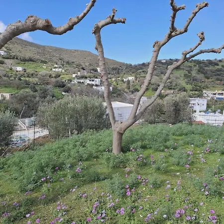 Village Nest - Peaceful Andros With Nature Vakantiehuis